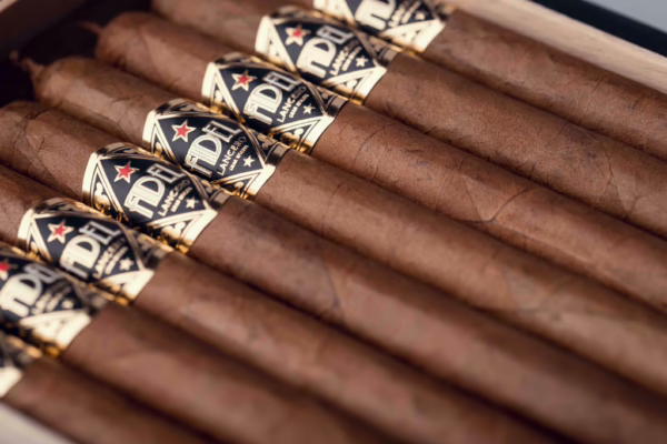LANCERO - Image 2